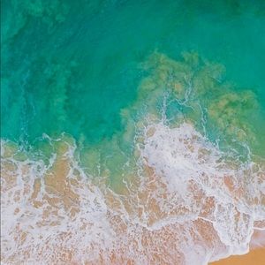 Meet your Posher, Adam